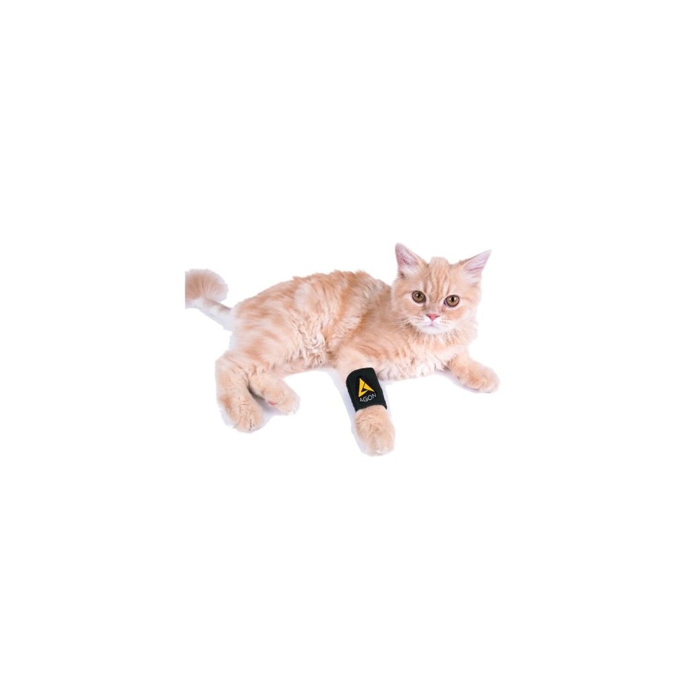 Agon® Dog Front Leg Brace Paw Compression Wraps [DS002Y] - Picture 7 of 11